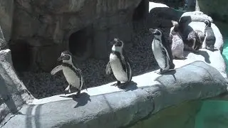 Columbus Zoo and Aquarium