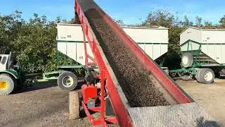 ST14 going into Flory elevator with Pecans