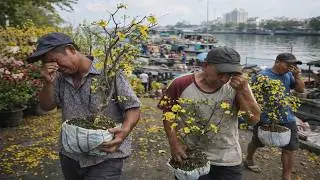 Nỗi L&ograve;ng Người Trồng Hoa Trưa 29 Tết B&aacute;n Kh&ocirc;ng Hết Đ&agrave;nh Cắt Bỏ / Bến B&igrave;nh Đ&ocirc;ng Tết 2026