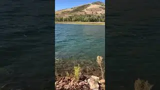 Calm lake fishing sounds #fishingtok #asmr #calmingsounds