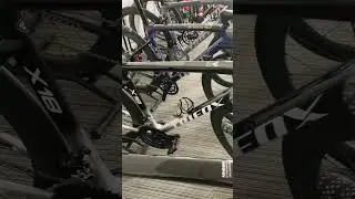 Which model of our Trifox Carbon Fiber Road Complete Bike do you love the most? 😍