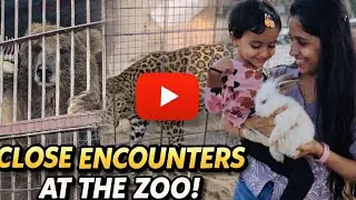 Umm al quwain wild zoo poyalo 🐻🦁🐯🐒🦒 part :1 #uae 
