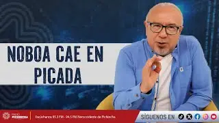 Noboa cae en picada