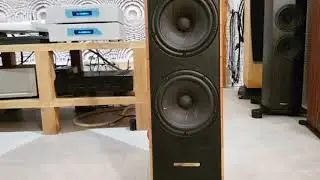 Sonus Faber Cremona