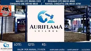 LEILÃO AURIFLAMA LEILÕES - 11/12/2025 - AURIFLAMA/SP - LEILÃO