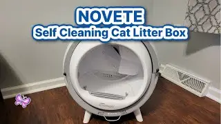 NOVETE Self-Cleaning Cat Litter Box Review!  Smart Cat Box With App Control!