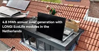 LONGi Ecolife full black panels powering home of 4 at a residential suburb in Netherlands