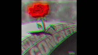 RO$E MOB - RO$ES IN THE CONCRETE *ViD OUT NOW*
