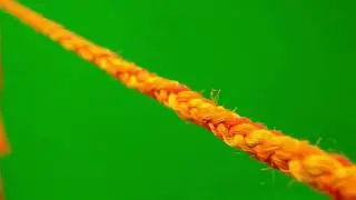 Kite String Vibrating &ndash; Green Screen 04