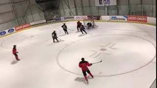 Elissa Taylor 2x Stick Lift Goal