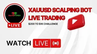 Live trade | Gold scalping robot $200 to $1k Challenge 🔥