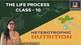 Life Processes Class 10: Heterotrophic Nutrition Explained with Examples | Rajnni Shandilya 