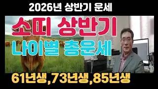 소띠 놓치지 마세요! 2026년 상반기 소띠운세 나이별, 월별 총운세 - 소띠 재물운 급상승! 2026년 상반기 돈 쓸어 담을 나이별 로드맵