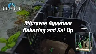 Cobalt Microvue Aquarium Unboxing and Set Up Video