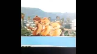 Клип про бурундуков