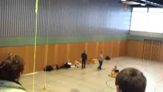 Shawn das fliegende Schaf