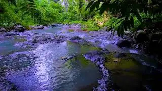 Mountain Stream Peace Night Flow | Forest Running Water & Sleep Noise