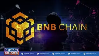 Bản tin Crypto 24h: BNB Chain sẽ tiến h&agrave;nh hard fork để xử l&yacute; lỗ hổng vụ hack 586 triệu USD