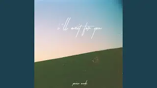 I'll Wait For You