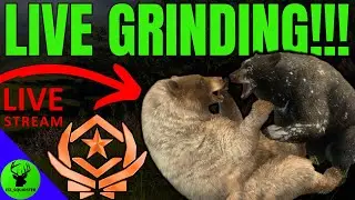 BEAR With Me While I GREAT ONE GRIND & chat about NEXT WEEK!!! - Call of the Wild