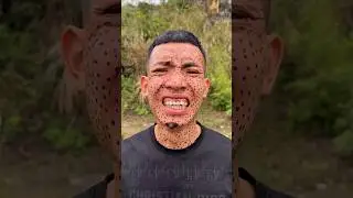 survival skill: smart idea 💡💡#survival#bushcraft#camping#outdoor#shorts#viral