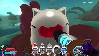 THE KEYS GRRR - Slime Rancher (4)
