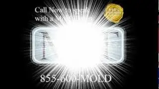 Fort Lauderdale Mold Testing