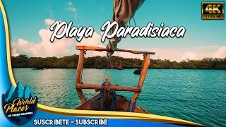 🌊👉Espectacular Playa Paradisiaca #4kvideo #4k #playa🌊👉