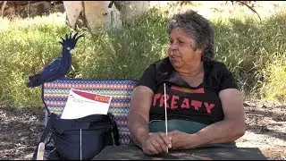 The Artist & Art Centre Agreement - WESTERN ARRERNTE