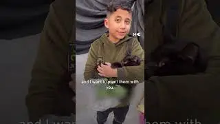 Palestinian child farmer plants aubergine seeds to combat food shortages and famine