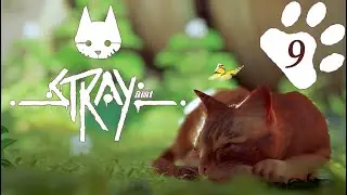 Stray - Part 9 - The Sewers - all memories