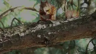 Austin's Outdoors - Nature
