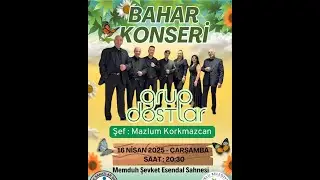 BİR GRUP DOSTLAR KONSERİ