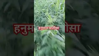#subscribe #video #hanuman_chalisa #school #reels #shorts #viral #india#