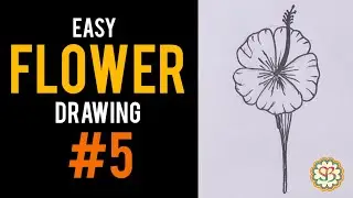 Flower Drawing step by step for absolute beginners | Scissors and Brushes