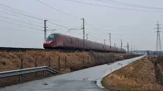 AGV575