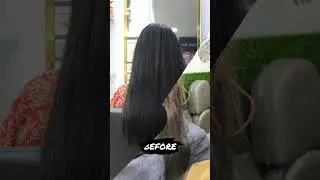 From Dull to Divine ✨ Global Hair Color Transformation | The BB Salon