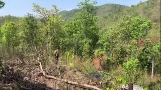 Karenni News TV- Karenni Army attack Burma army.