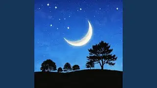 The Night Moon Arrives