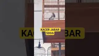 KACER JABAR