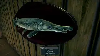 Alligator Gar Amazon River Ultimate Fishing Simulator Gameplay 2020 4K