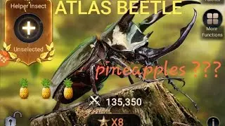 Star Up Insects: Ants Underground Kingdom tips tutorial gameplay