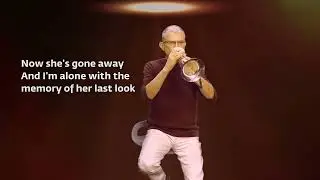 Trumpet Bossa Nova Cover | How insensitive flugelhorn solo | Carlos Antonio Jobim