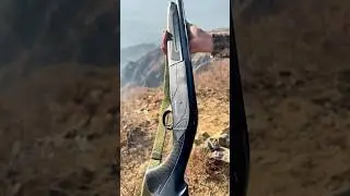 High Altitude Clay Hunt &mdash; Gravity Hits Different Here! #hunting #shotgun #shorts