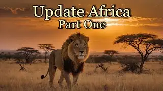 Update Africa - Part One - A reading with Crystal Ball and Tarot