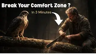 Break Your comfort Zone - Short Motivational Story of Falcon Who Refused To Fly