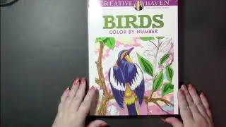 Flip & Review Birds by George Toufexis Color by Number (Adult Coloring)