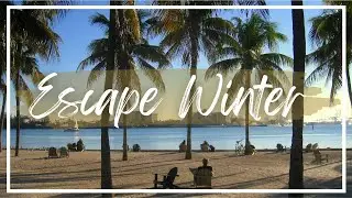Top 5 Warm Places in USA to Escape Winter