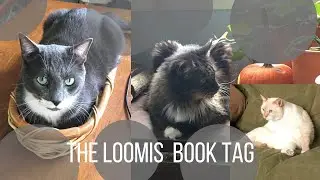 The Loomis Tag | Booktube & Cats | Book Prompts based on YOUR cats | Dogs (& other pets) are OK too!