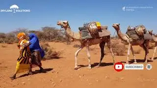 Dryland Solutions - Somalia: Uncovering Environmental Challenges Through Documentary